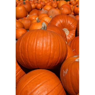 Müde sein und frieren geht gar nicht