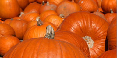 K&uuml;rbis macht gesund und schlank