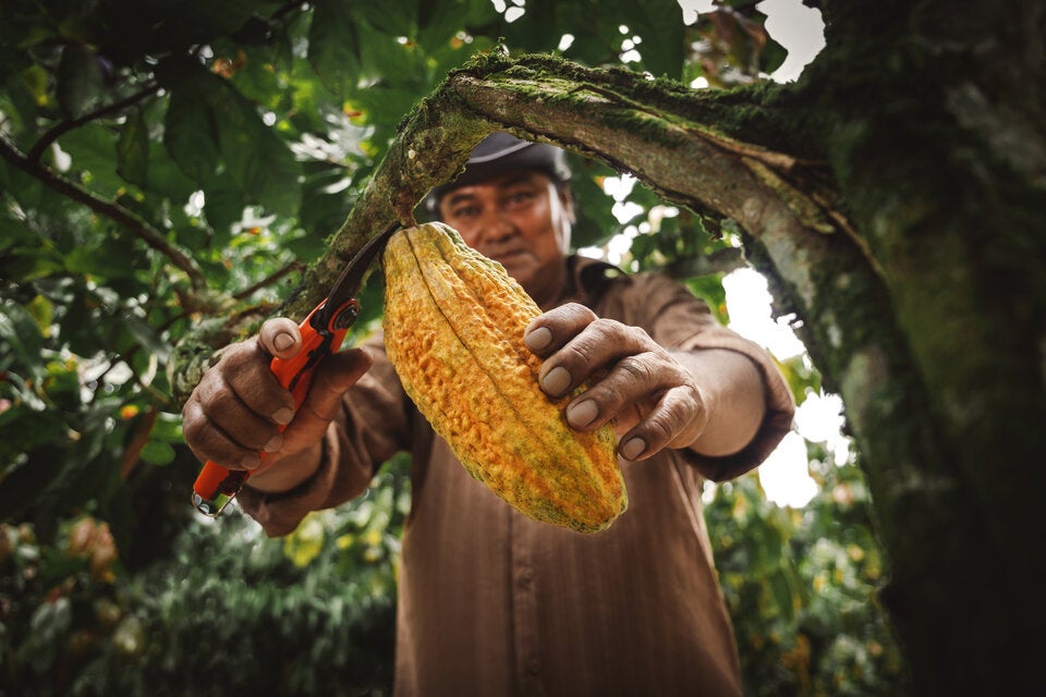 Kleine Glücklichmacher aus Peru