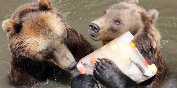 Auf Gluthitze folgt Donnerwetter