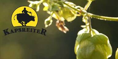 Harmer Getr&auml;nke schlie&szlig;t Brauerei Kapsreiter