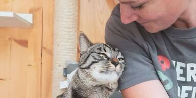 &Uuml;bergewichtiger Gismo sollte eingeschl&auml;fert werden