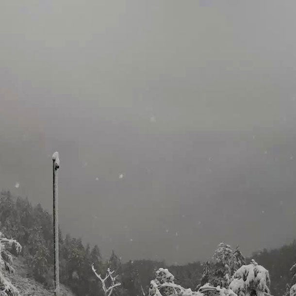 Winter-Alarm: halber Meter Schnee