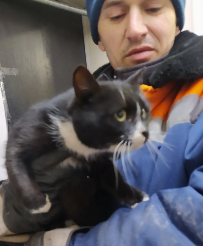 Twitter/Gorkomhoz 73