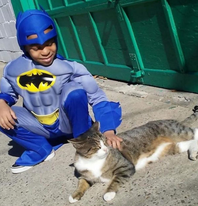 kolonykats/Instagram