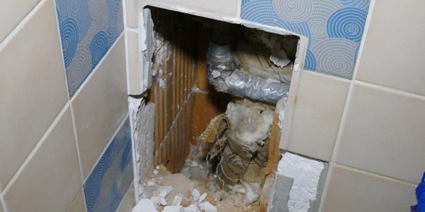 Katze floh vor Hund ins Abflussrohr