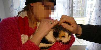 Katze floh vor Hund ins Abflussrohr