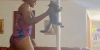 tricee.tricee/TikTok