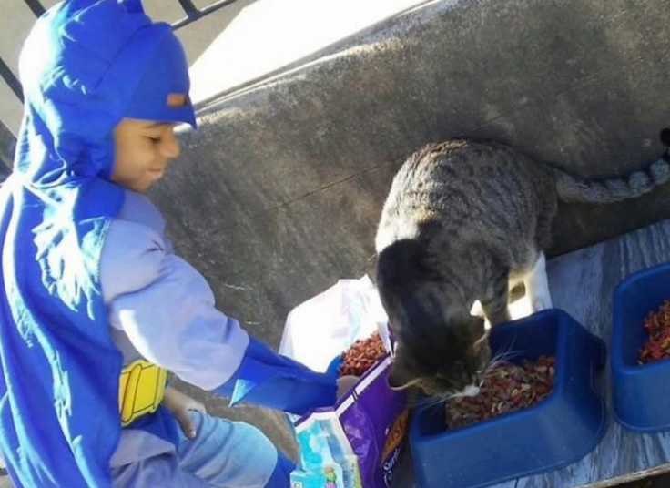 kolonykats/Instagram