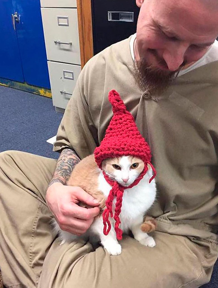 indianacorrection/Instagram