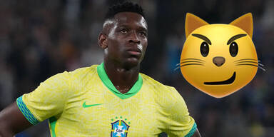Brasilien Katze