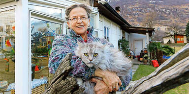 Mahlzeit! Schweizer essen Katzen