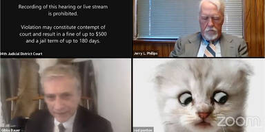 US-Anwalt steckt bei Zoom-Anh&ouml;rung im Katzenfilter fest