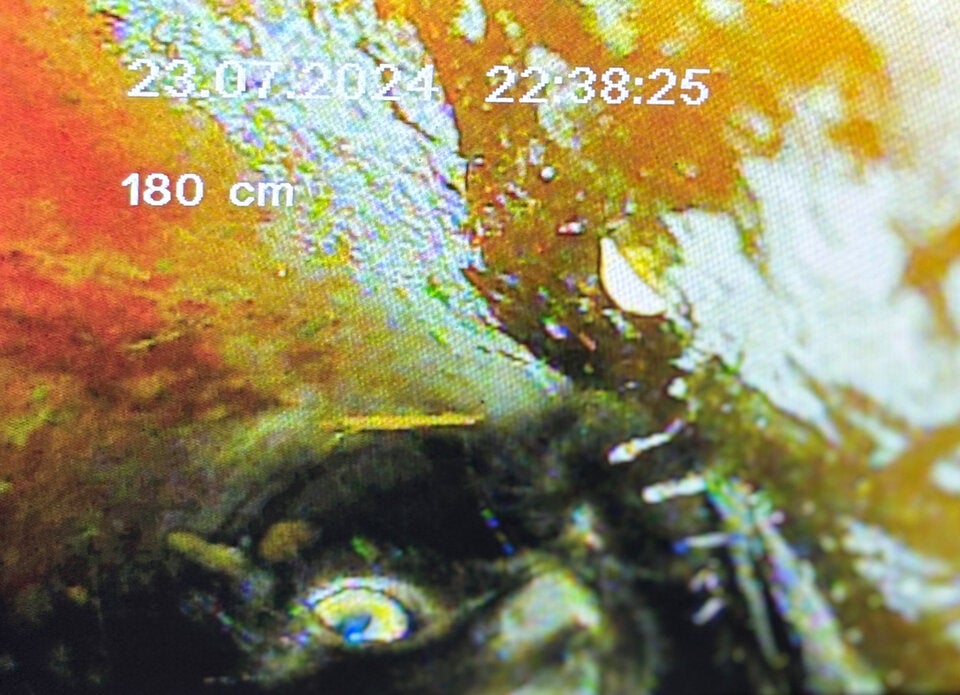 Katzenrettung Kirchbichl