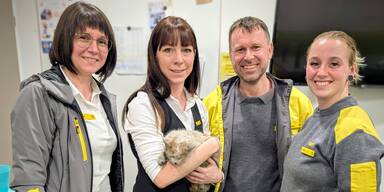 Gelbe Engel retten verletzten Kater aus gef&auml;hrlicher Auto-Falle