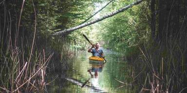 Ins andere Polen eintauchen