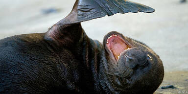 Keine langen Schlangen mehr an der Kassa