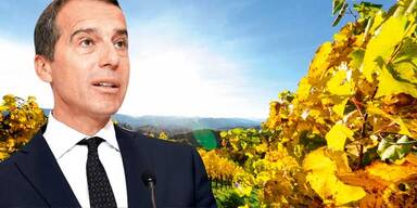 Kern sagt Umwelt-Gift den Kampf an