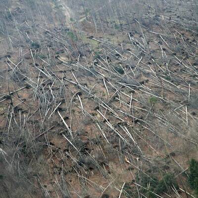 Die Sturmschäden in Österreich