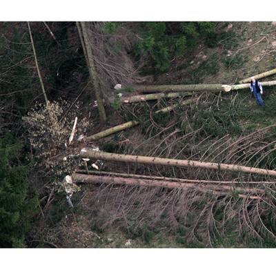 Die Sturmschäden in Österreich