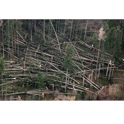 Die Sturmschäden in Österreich