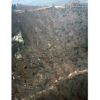 Die Sturmschäden in Österreich