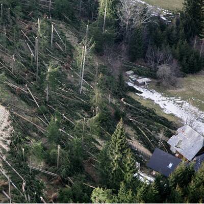 Die Sturmschäden in Österreich