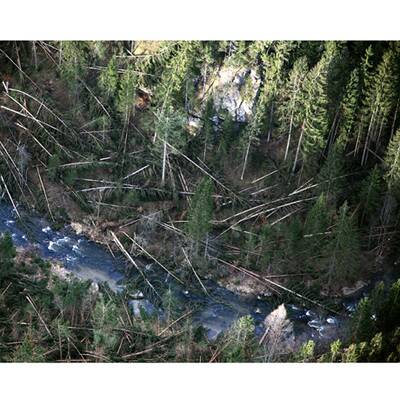 Die Sturmschäden in Österreich