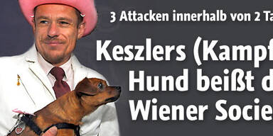 Gery Keszlers Hund: Society in Panik