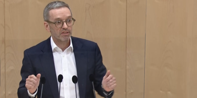 Kickl opposition.PNG