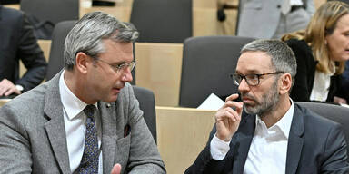 Bruderkrieg in der FPÖ - vorletzter Akt