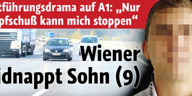 Wiener kidnappt seinen Sohn (9)