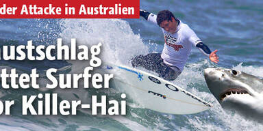 Hai mit Faust in die Flucht geschlagen