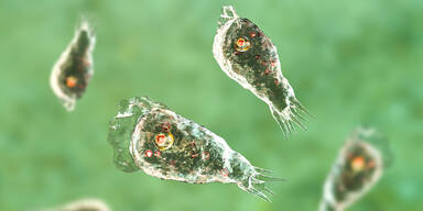 Bereits 17 Tote: Killer-Keim fordert immer mehr Opfer