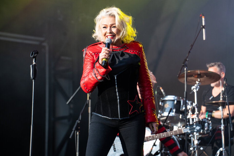 Hasselhoff bringt die Donauinsel zum Beben