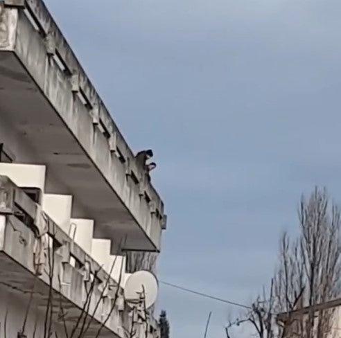 Jugendliche am Dach Klagenfurt