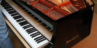 Klavier-B&ouml;sendorfer