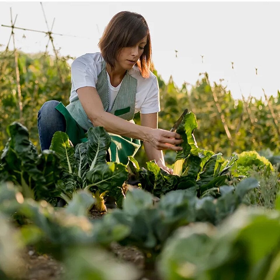 REWE Group Österreich lebt die Nachhaltigkeit