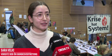 Klimaaktivisten besetzen H&ouml;rs&auml;le an Unis Interview mit Sara Velic.png
