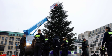 Klimaaktivisten sägen Christbaum vor Brandenburger Tor ab.png