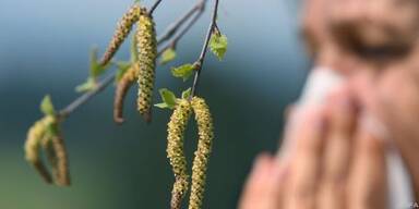 Klimawandel macht Allergikern zu schaffen