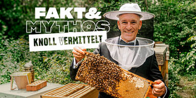 SPAR klärt wieder auf: Von Honig bis Hafermilch