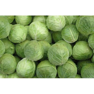 Müde sein und frieren geht gar nicht