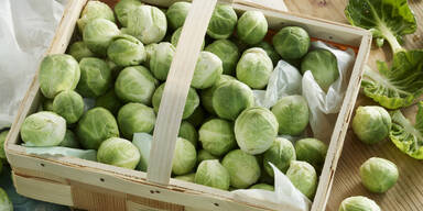 Kohlsprossen