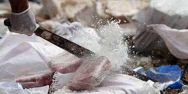 Hier gehen 5 TONNEN Kokain in Rauch auf