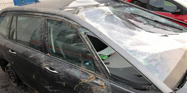 Liste Pilz-Klubchef baut schweren Crash