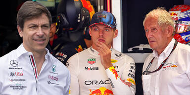 Verstappen Marko Wolff