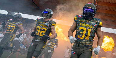 Vienna Vikings