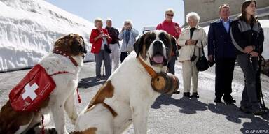 Konsumverhalten hat sich stark ver&auml;ndert