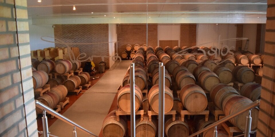 Fässer im Weingut Terra Galos